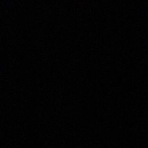 Meet your Posher, Lilyann